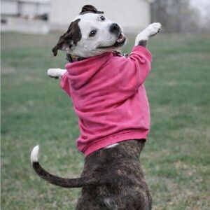 Meet your Posher, Jenni